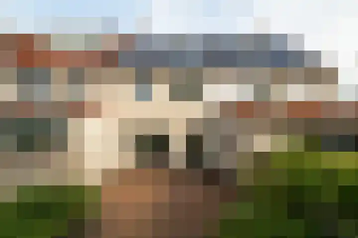 Saffier 2 Hoorn thumbnail 15