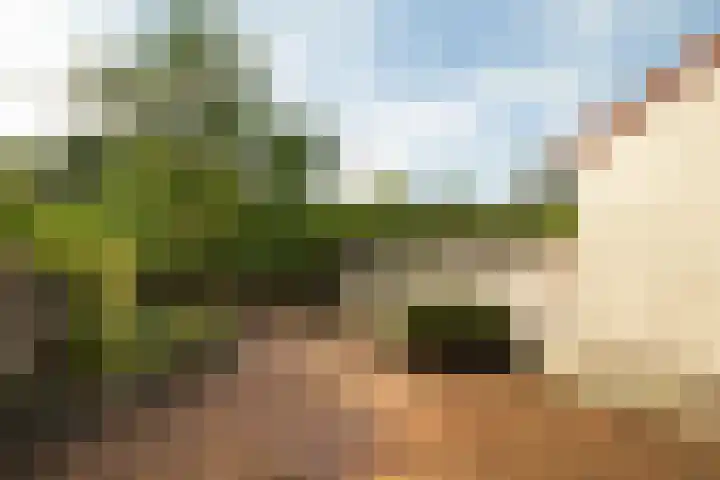 Saffier 2 Hoorn thumbnail 17