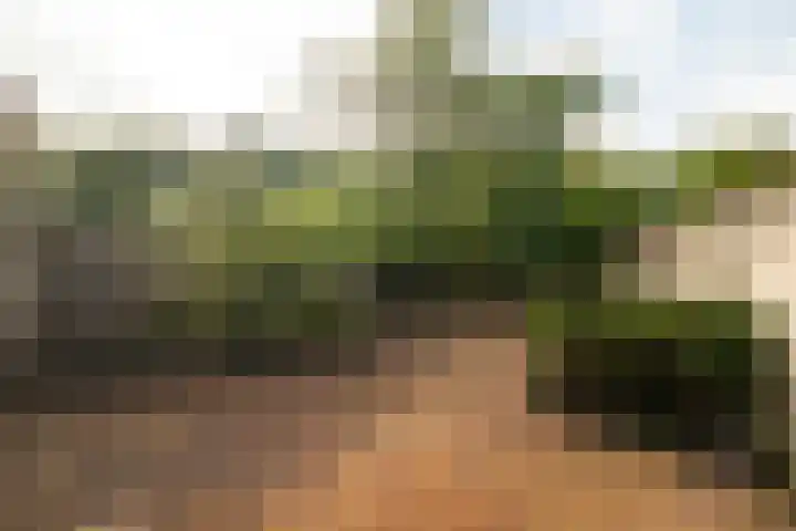 Saffier 2 Hoorn thumbnail 18