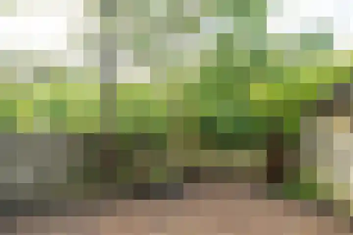 Saffier 2 Hoorn thumbnail 19