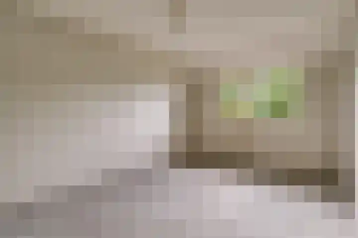Saffier 2 Hoorn thumbnail 20