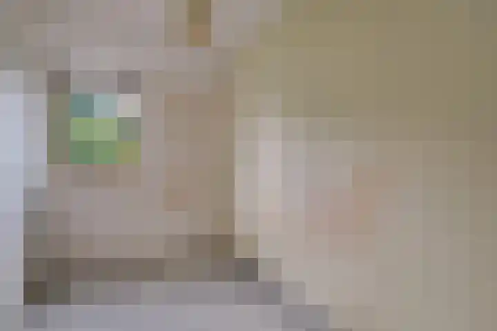 Saffier 2 Hoorn thumbnail 22