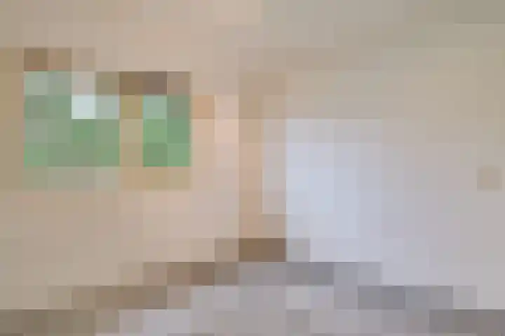 Saffier 2 Hoorn thumbnail 24
