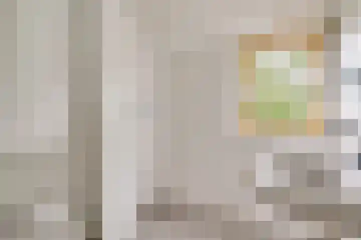 Saffier 2 Hoorn thumbnail 27