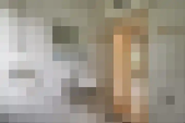Saffier 2 Hoorn thumbnail 28