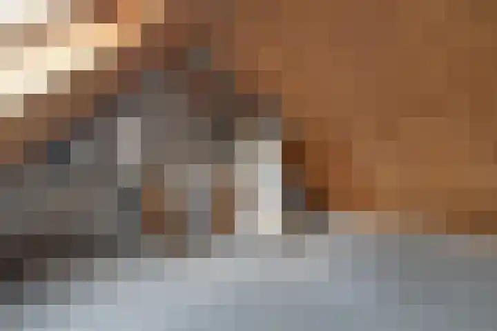 Saffier 2 Hoorn thumbnail 30