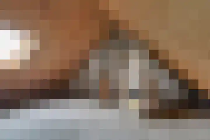 Saffier 2 Hoorn thumbnail 31