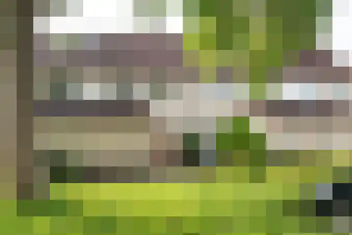 Saffier 2 Hoorn thumbnail 33