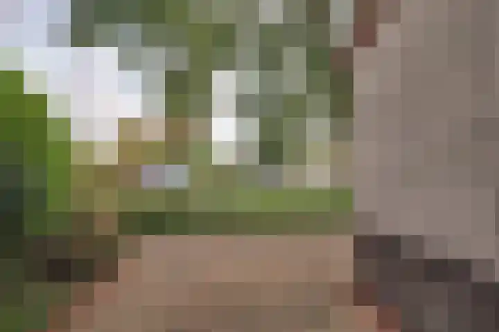 Saffier 2 Hoorn thumbnail 34