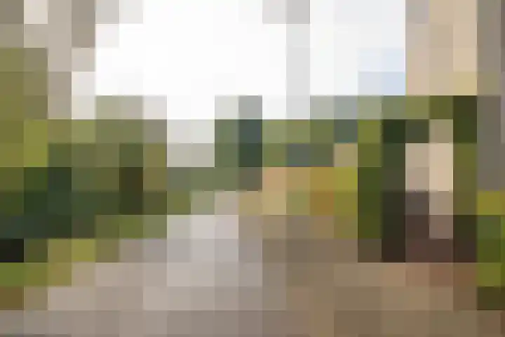 Saffier 2 Hoorn thumbnail 35