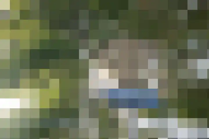 Saffier 2 Hoorn thumbnail 36