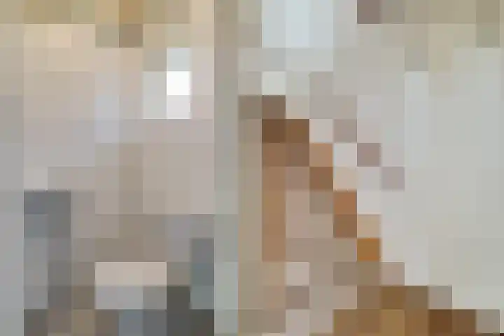 Saffier 2 Hoorn thumbnail 6