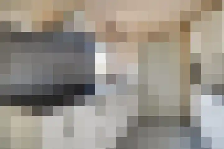 Saffier 2 Hoorn thumbnail 7