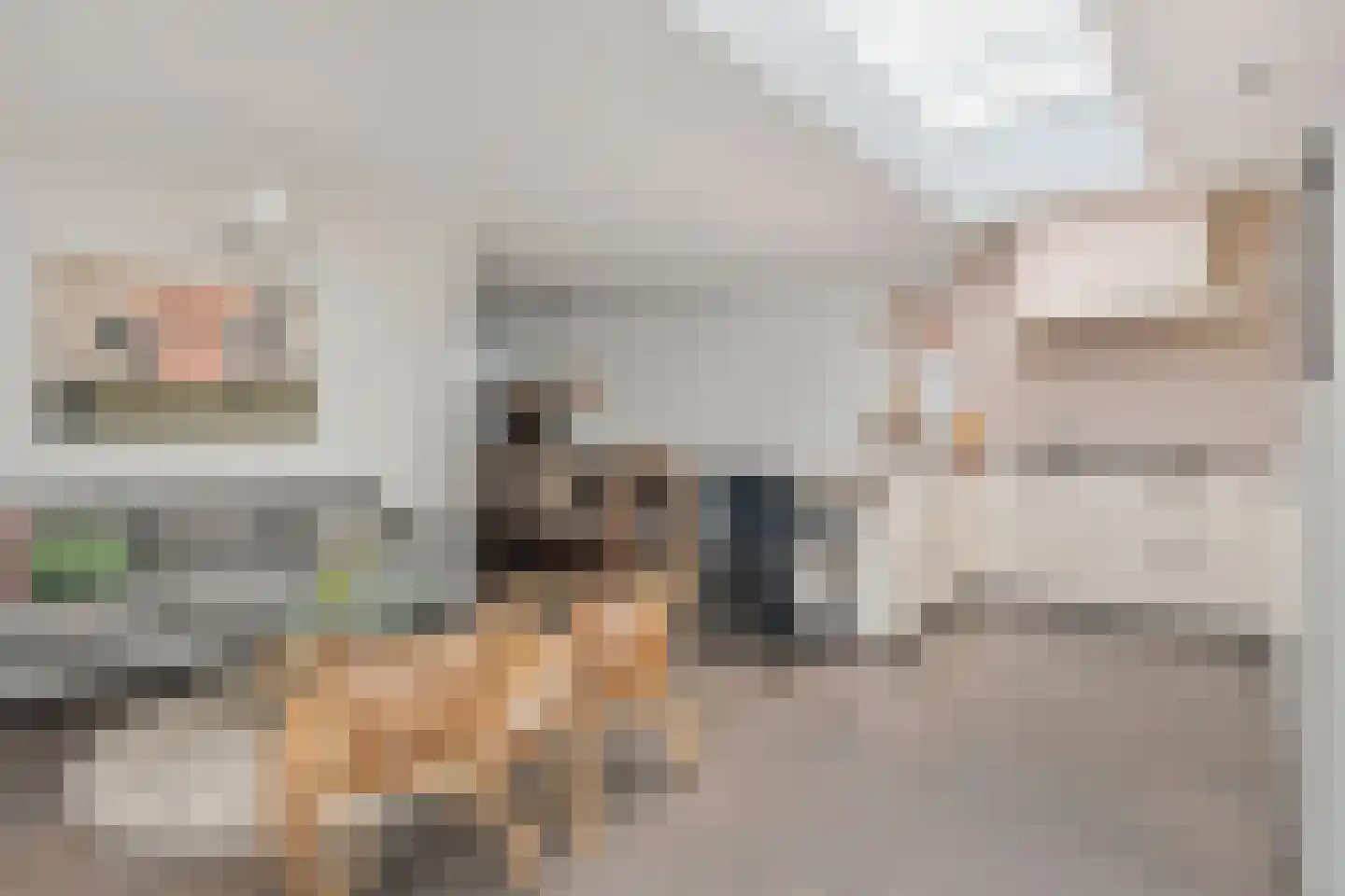 Saffier 20 Venlo thumbnail 12