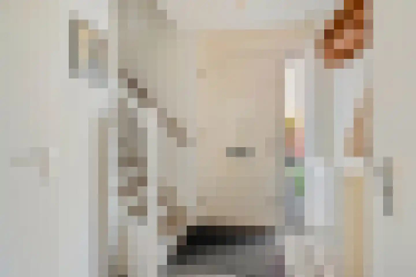 Saffier 20 Venlo thumbnail 15