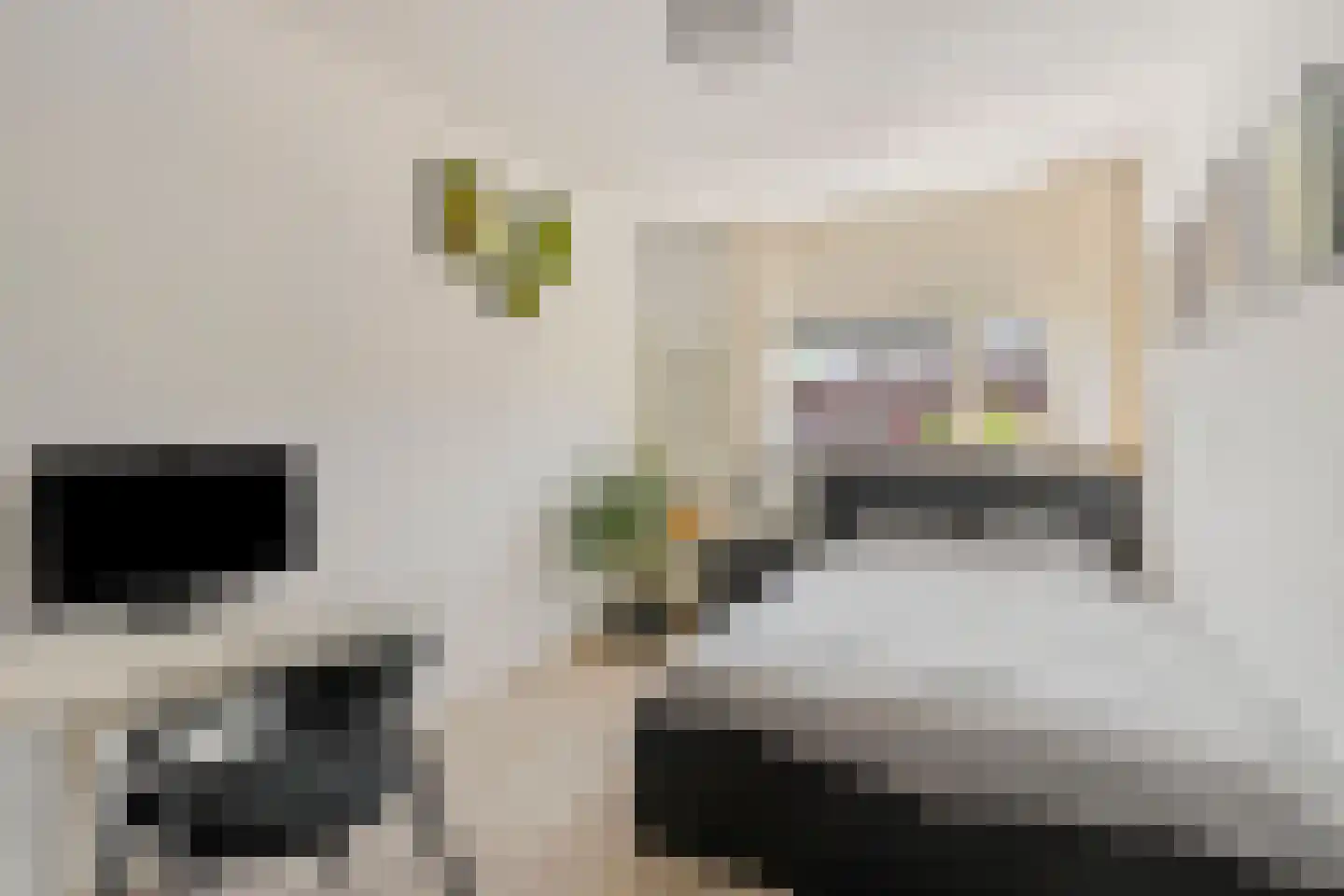 Saffier 20 Venlo thumbnail 22