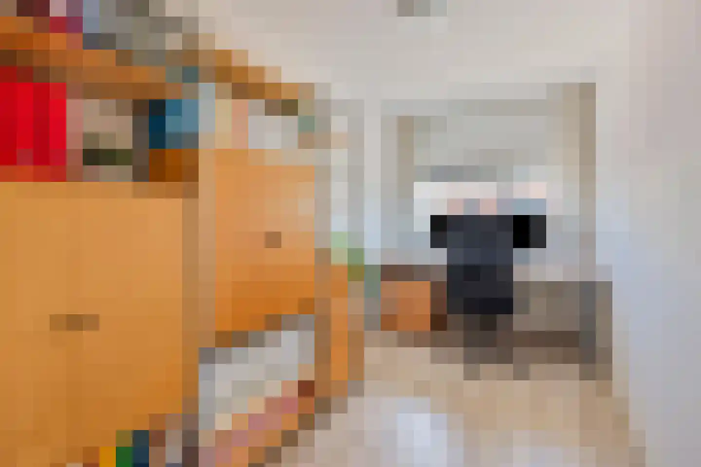 Saffier 20 Venlo thumbnail 24