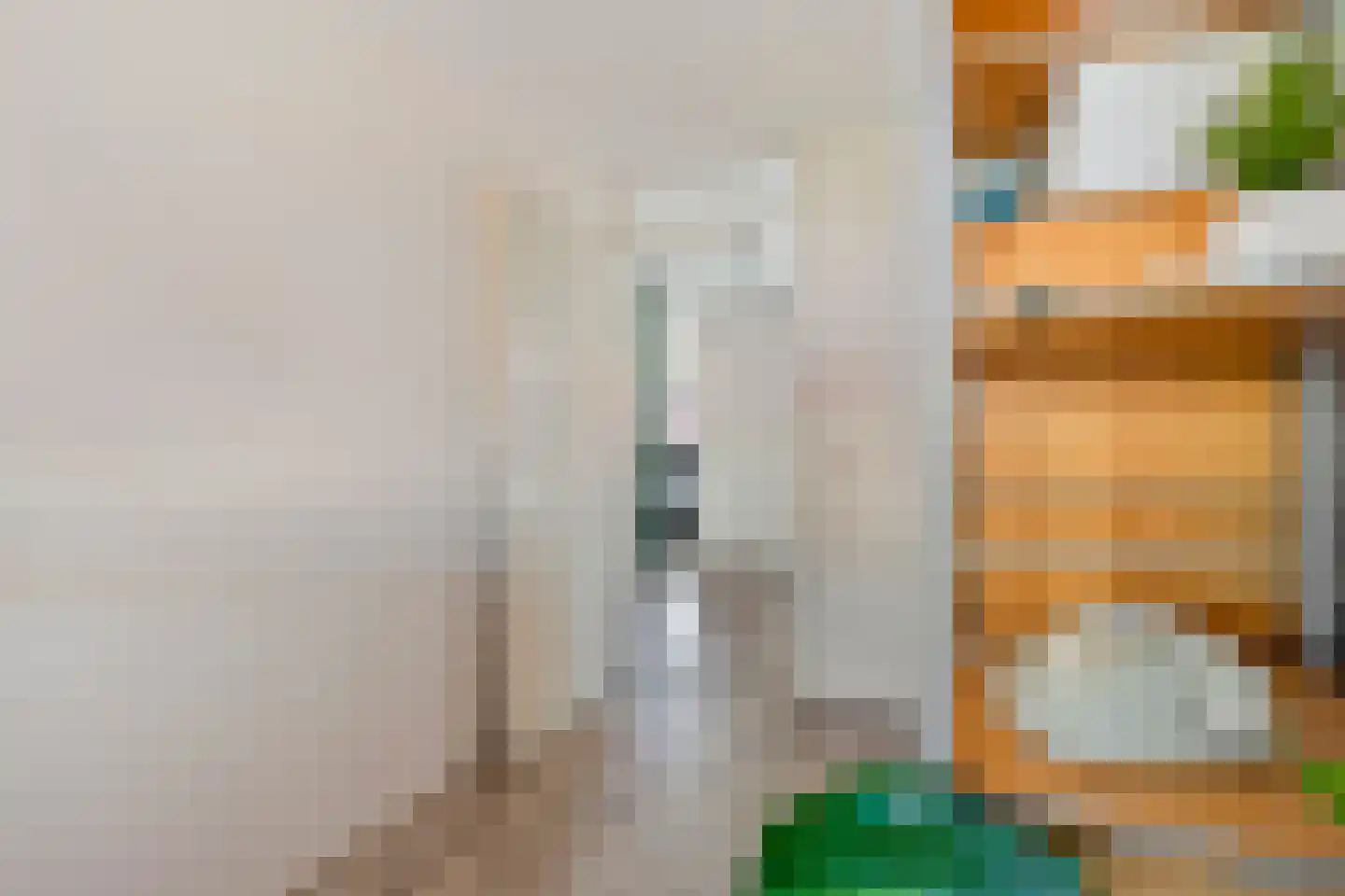 Saffier 20 Venlo thumbnail 25