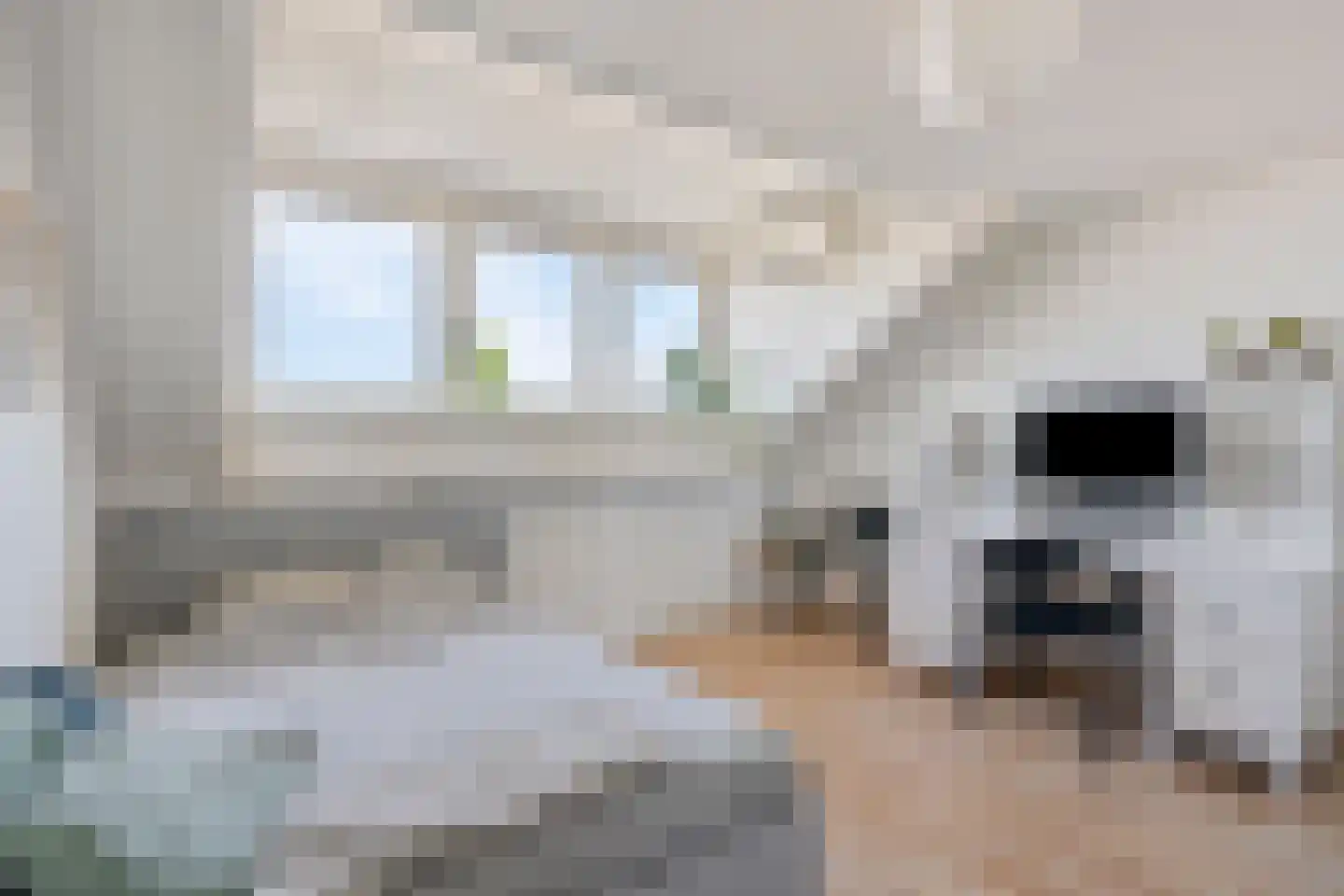 Saffier 20 Venlo thumbnail 28