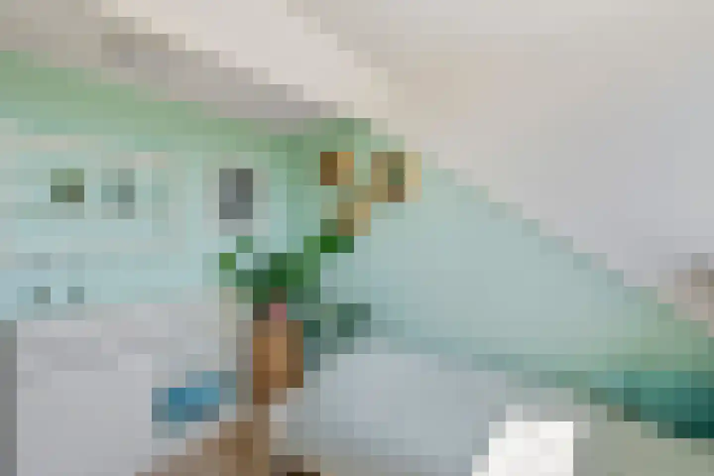 Saffier 20 Venlo thumbnail 32