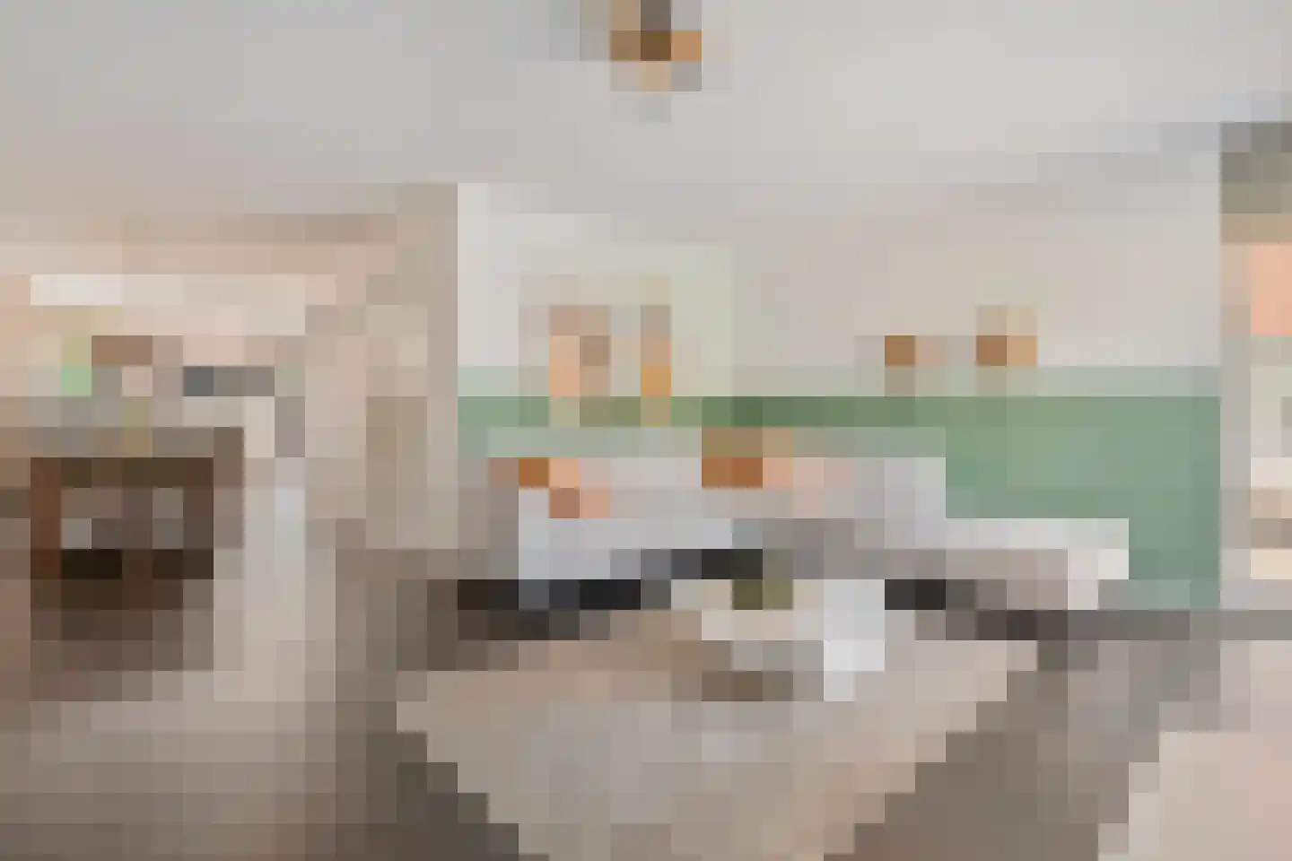 Saffier 20 Venlo thumbnail 4