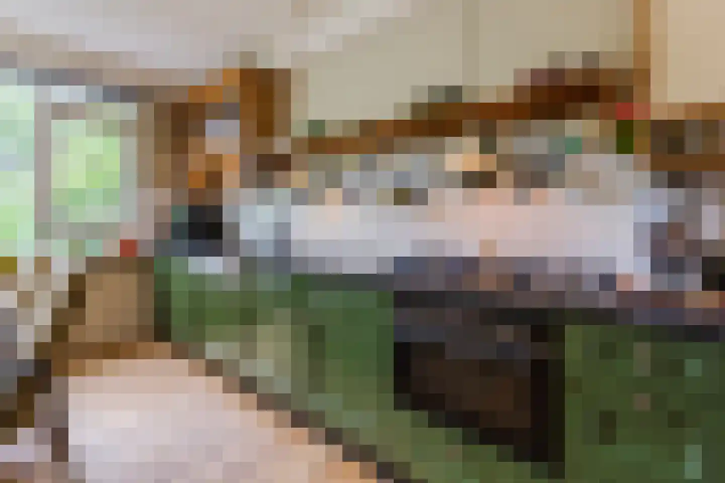 Saffier 21 Mijdrecht thumbnail 12