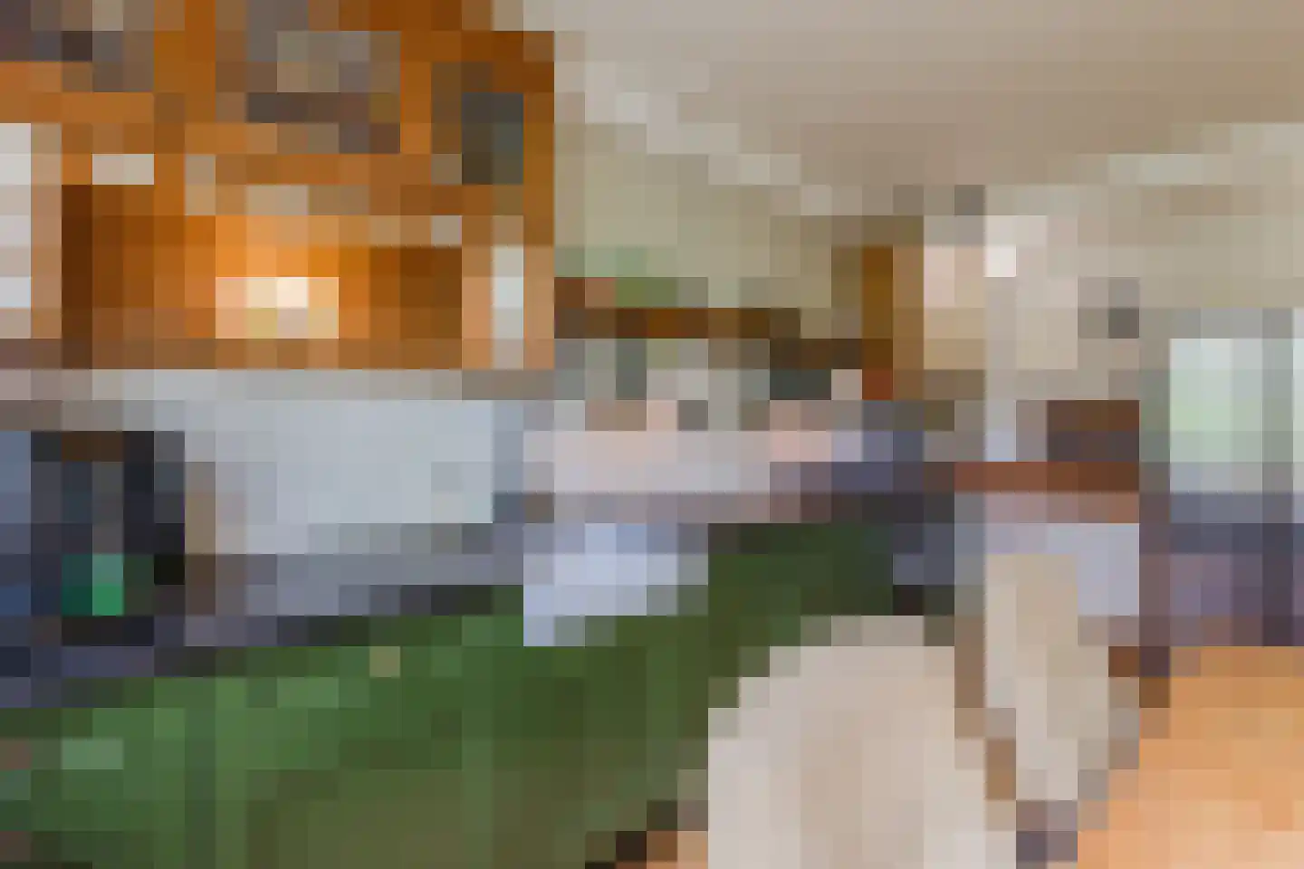 Saffier 21 Mijdrecht thumbnail 13