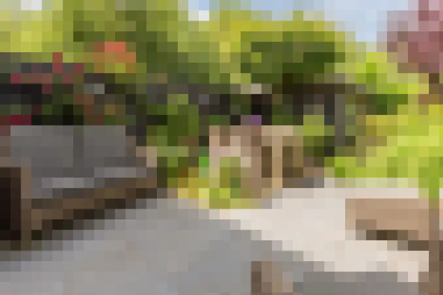 Saffier 21 Mijdrecht thumbnail 29