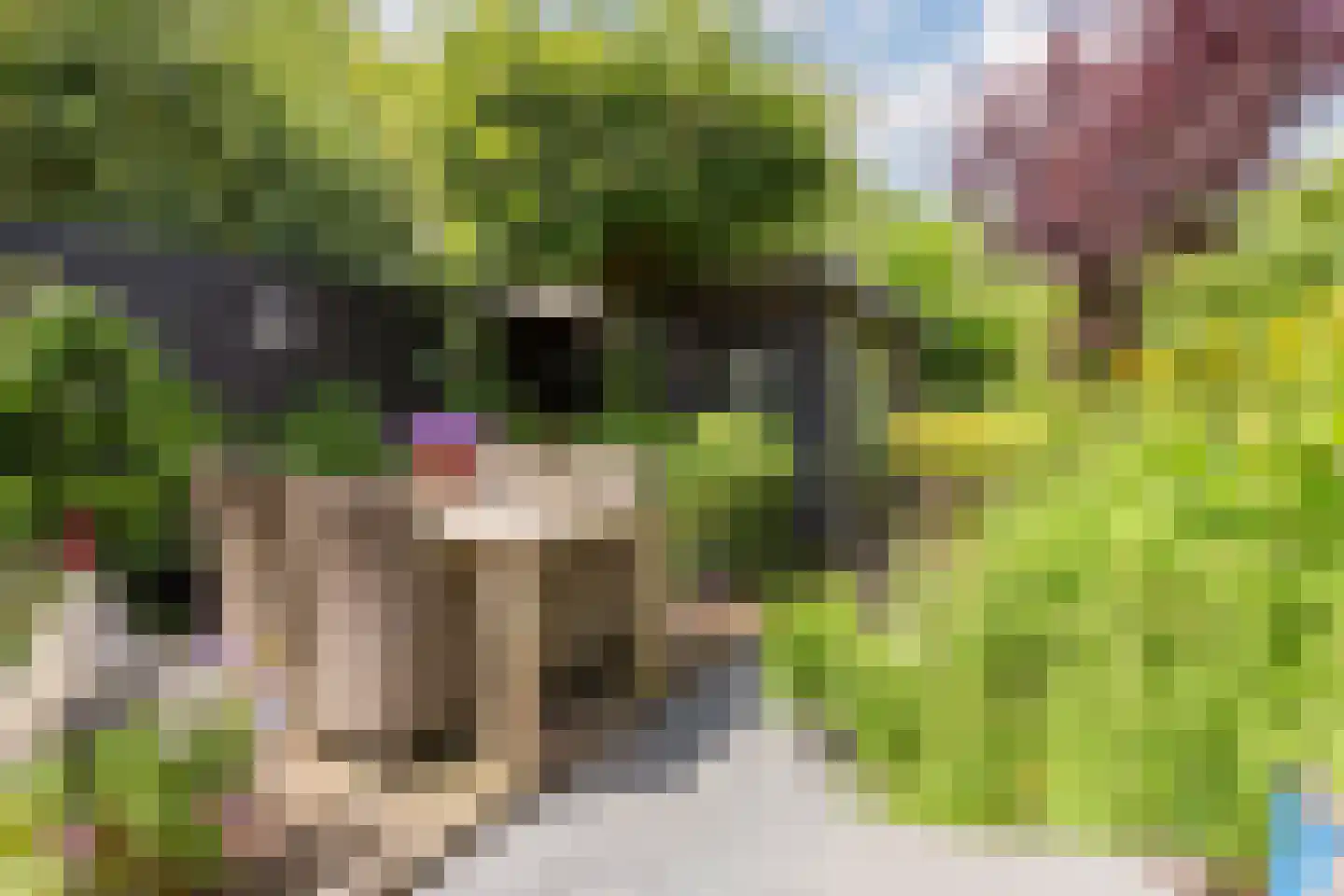 Saffier 21 Mijdrecht thumbnail 30