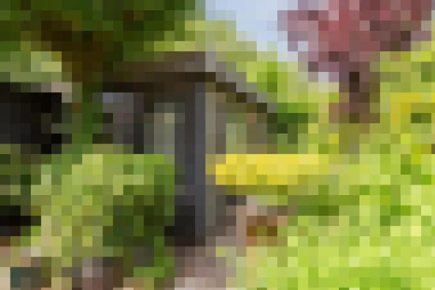 Saffier 21 Mijdrecht thumbnail 32