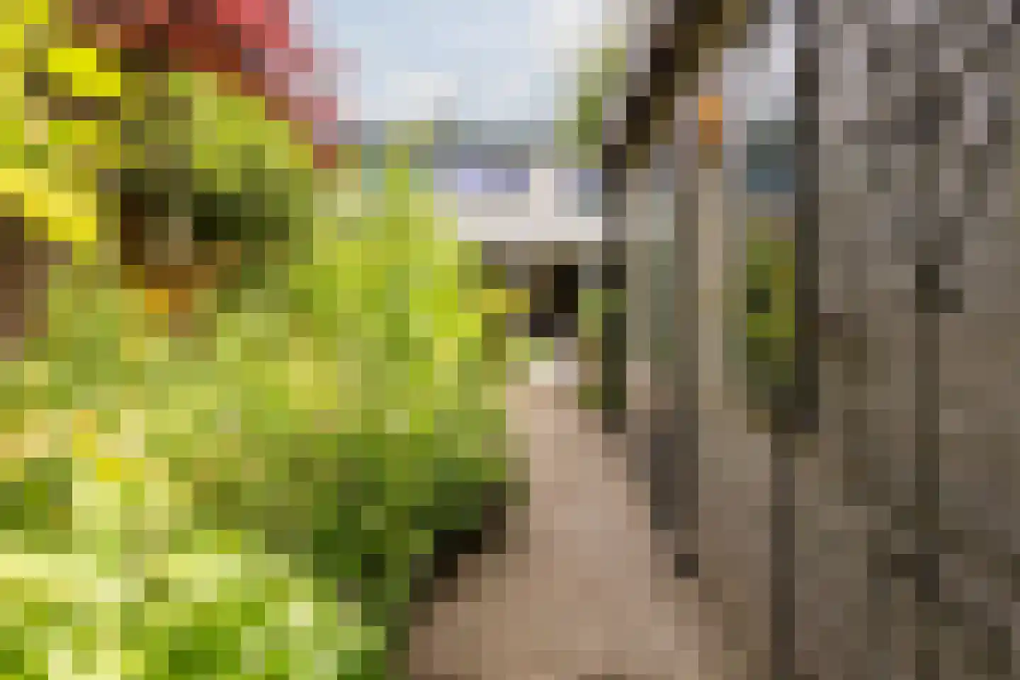 Saffier 21 Mijdrecht thumbnail 33