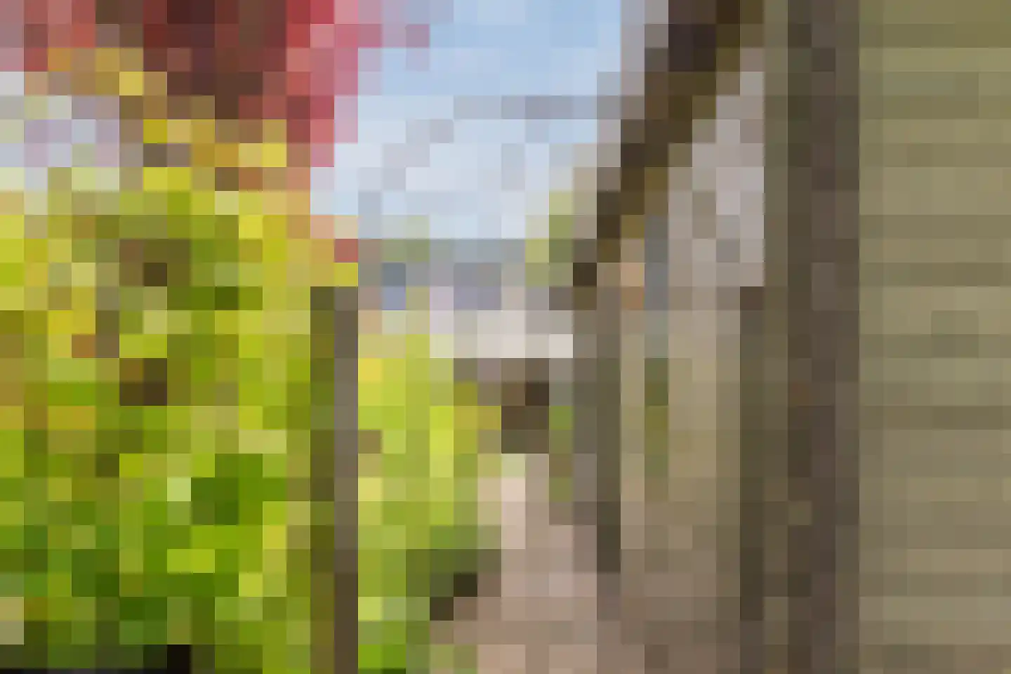 Saffier 21 Mijdrecht thumbnail 34