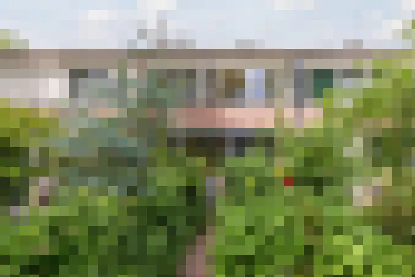 Saffier 21 Mijdrecht thumbnail 36