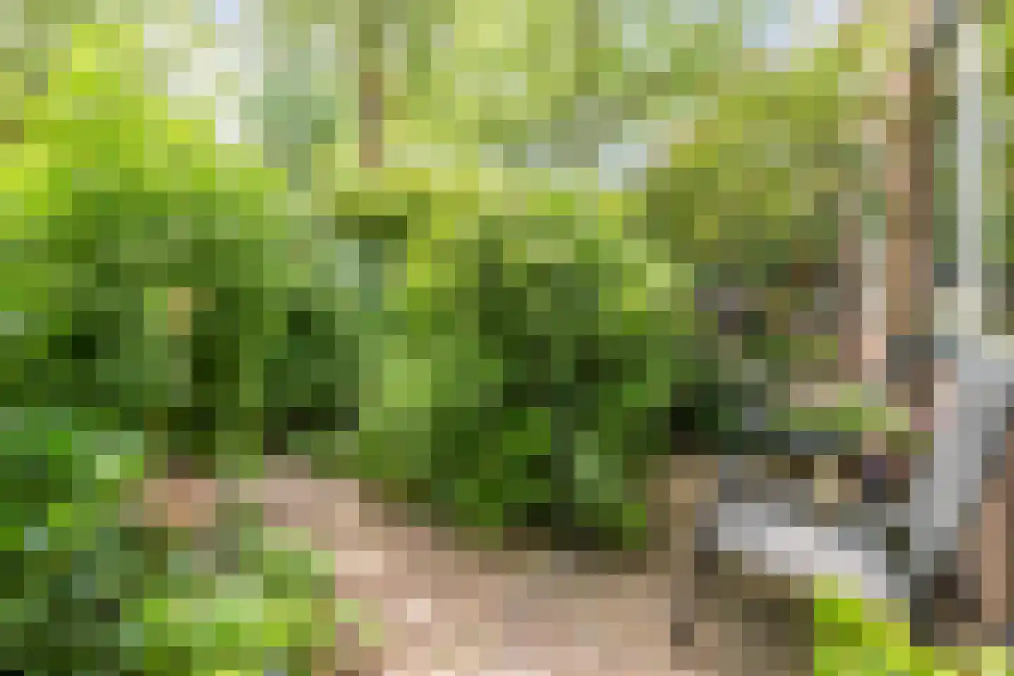 Saffier 21 Mijdrecht thumbnail 38
