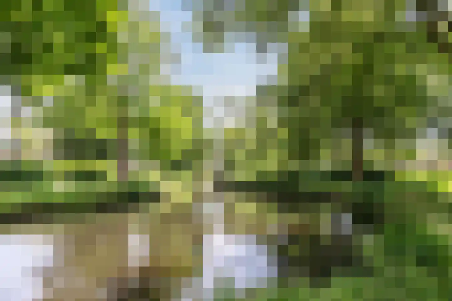 Saffier 21 Mijdrecht thumbnail 41