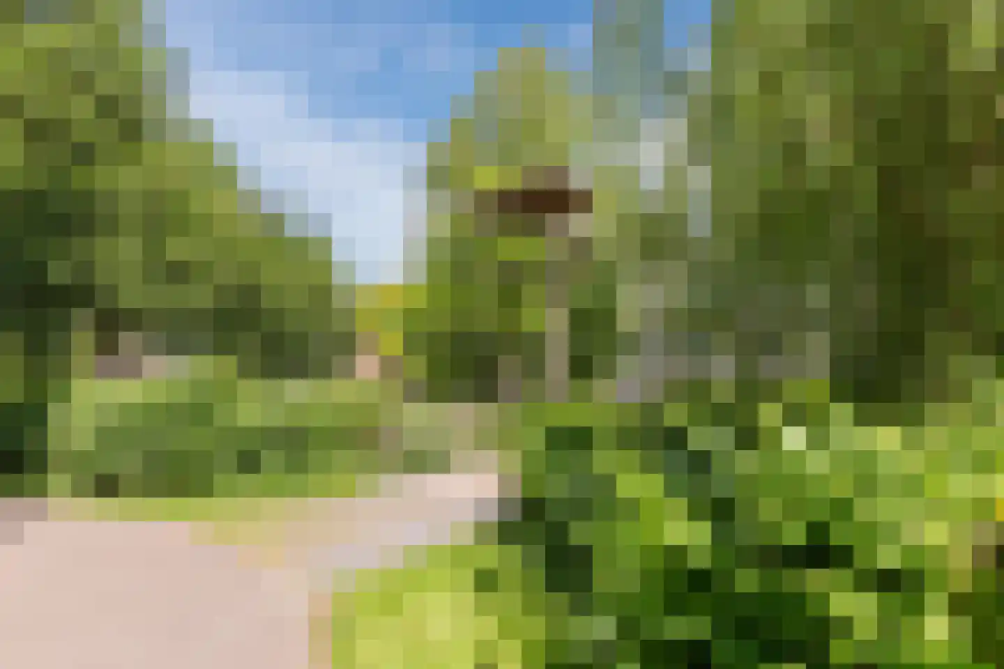 Saffier 21 Mijdrecht thumbnail 43