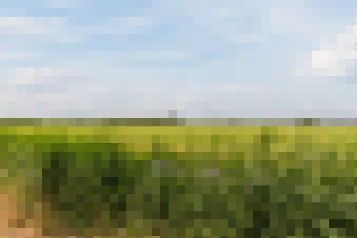 Saffier 21 Mijdrecht thumbnail 46