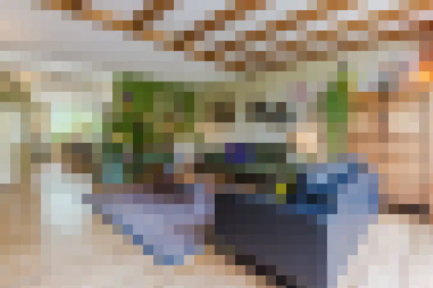 Saffier 21 Mijdrecht thumbnail 5