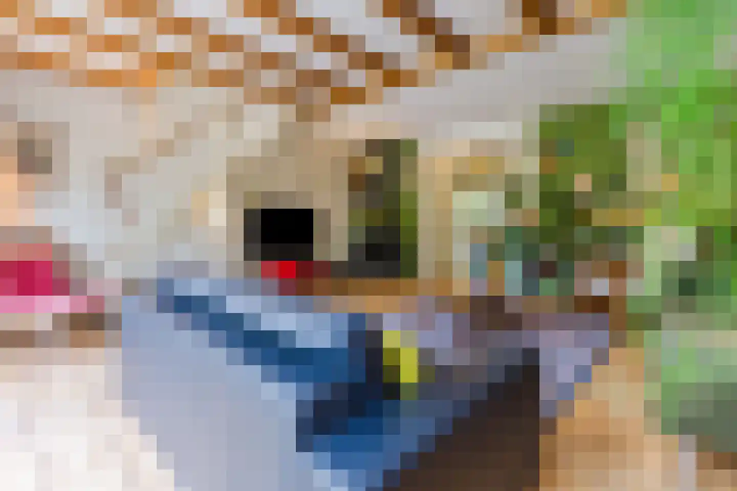 Saffier 21 Mijdrecht thumbnail 6