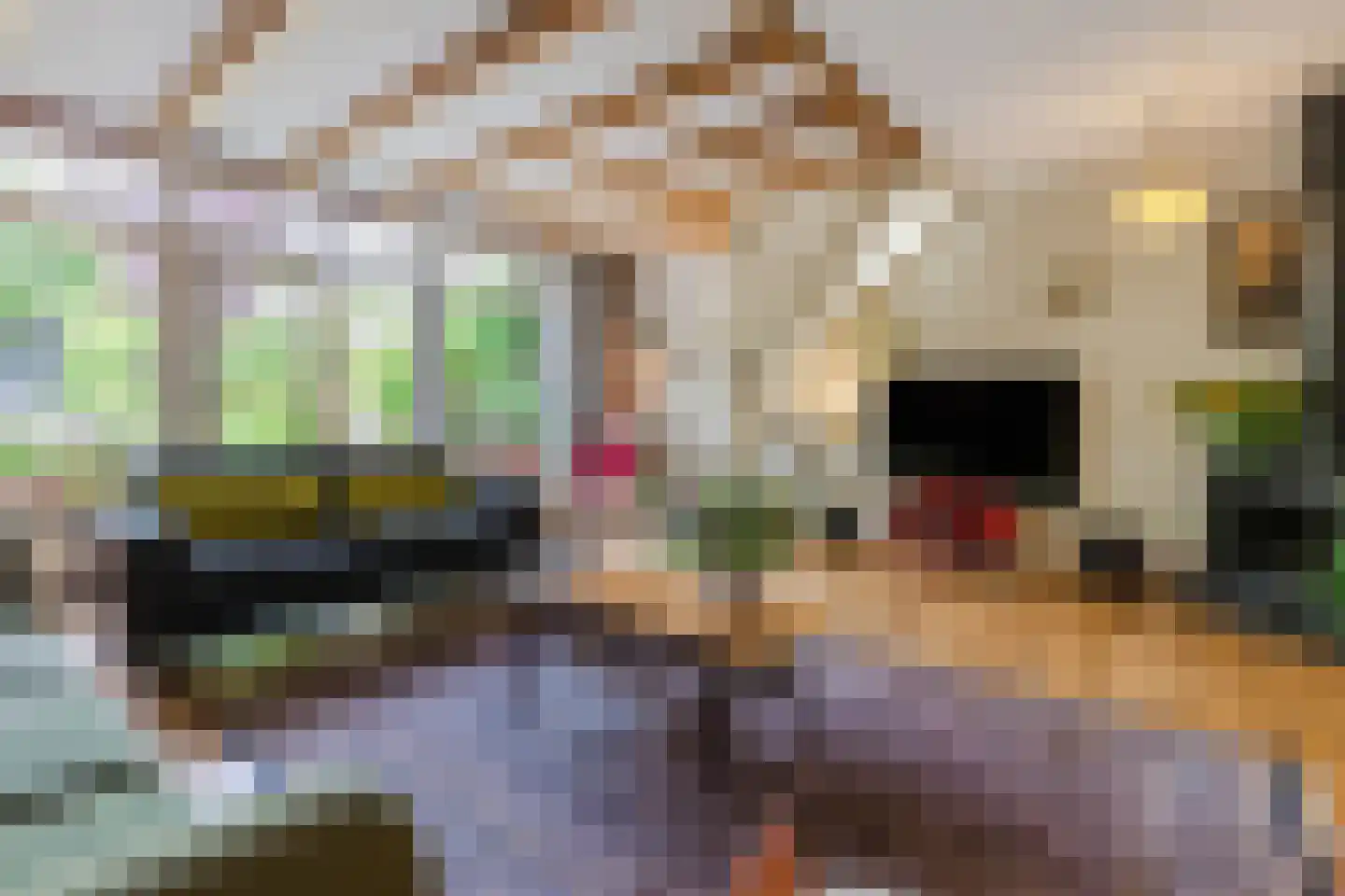 Saffier 21 Mijdrecht thumbnail 7