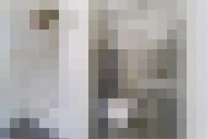 Saffier 23 Middelburg thumbnail 5