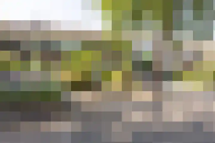 Saffier 23 Mijdrecht thumbnail 34