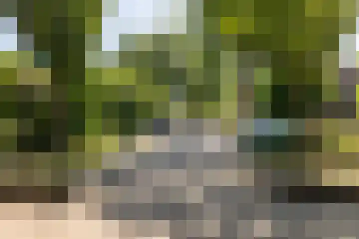Saffier 23 Mijdrecht thumbnail 36