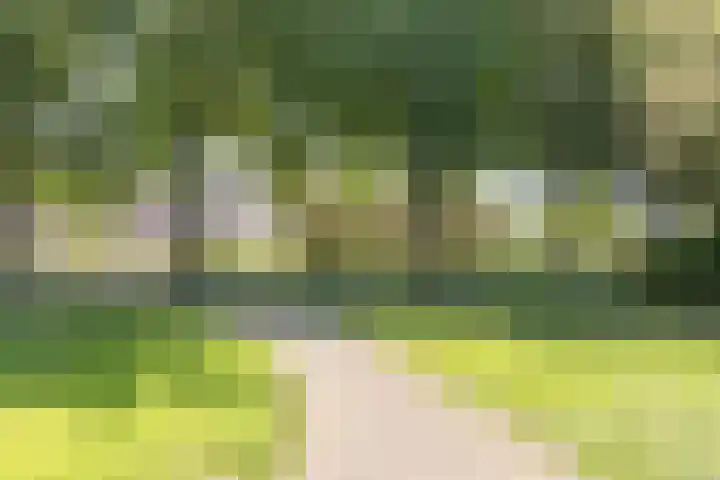 Saffier 23 Mijdrecht thumbnail 37