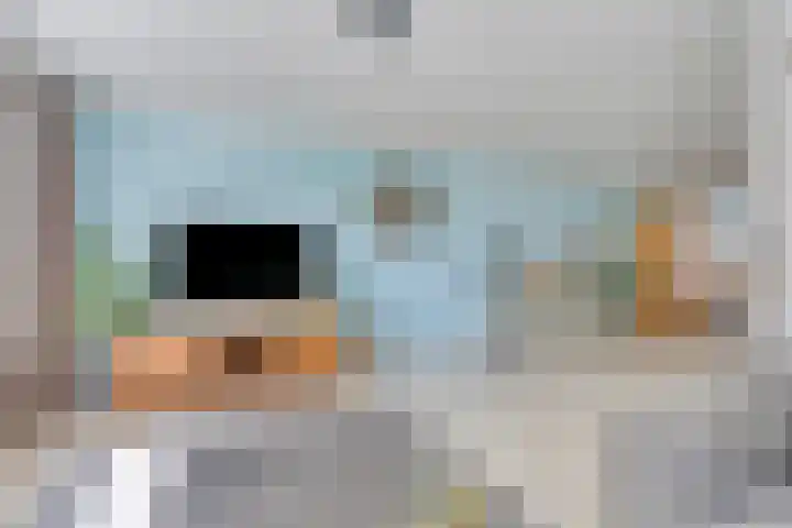 Saffier 26 Eindhoven thumbnail 13