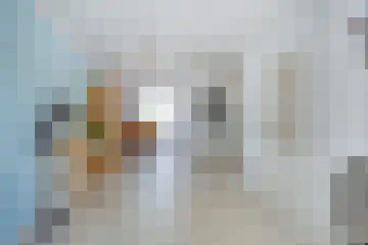 Saffier 26 Eindhoven thumbnail 15