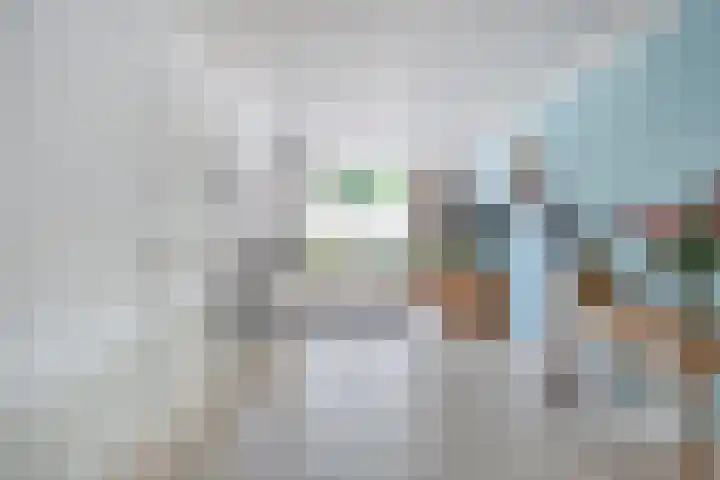 Saffier 26 Eindhoven thumbnail 16