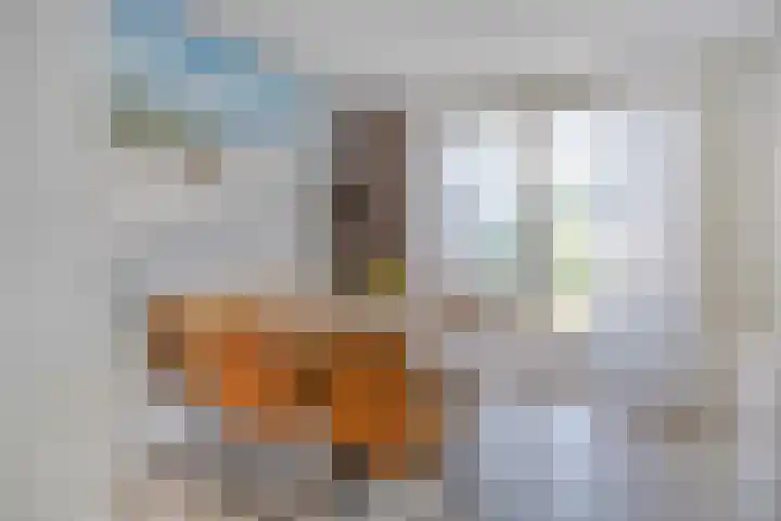 Saffier 26 Eindhoven thumbnail 18