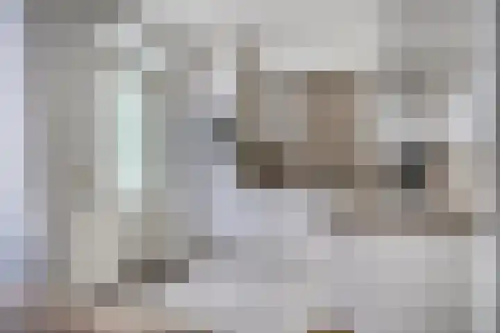 Saffier 26 Eindhoven thumbnail 20