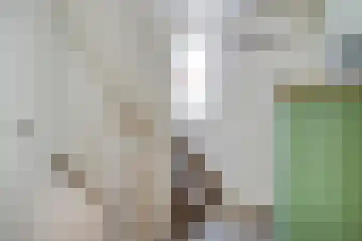 Saffier 26 Eindhoven thumbnail 21